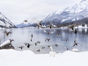 Winterauszeit am Grundlsee inkl. Eintritt in die Grimmingtherme I 3 Nächte