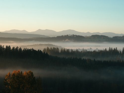 Auszeit zu Zweit inmitten der Naturidylle- inkl. HP