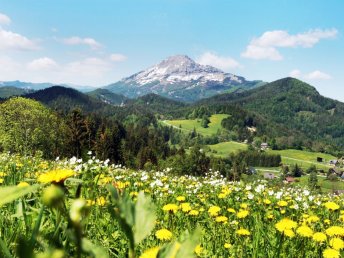 Bild 20 von 32