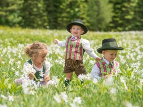 Exklusives Angebot: 3 Nächte Frühlingserholung im Ausseerland 