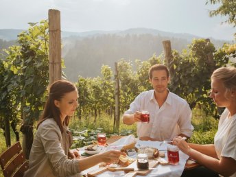 Sommeraktion im JUFA Hotel Deutschlandsberg I 3 Nächte
