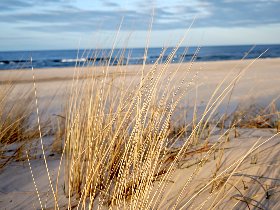 Urlaub an der Ostsee | 7 ÜHP