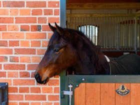 Kurze Auszeit mit traditioneller Gutskultur inkl. Abendessen 