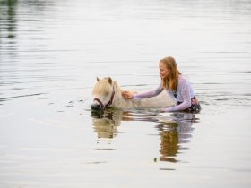 Kurze Auszeit mit traditioneller Gutskultur inkl. Abendessen 