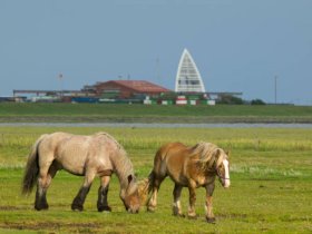 5 Tage Kurzurlaub - Auszeit vom Alltag   