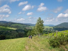 Ruhe & Erholung im Sauerland - 