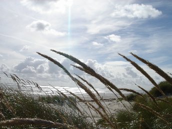 Bild 18 von 19