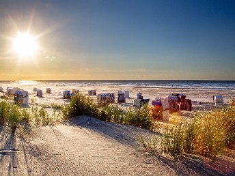 Maritime Winter-Auszeit- 4 Tage auf Langeoog 