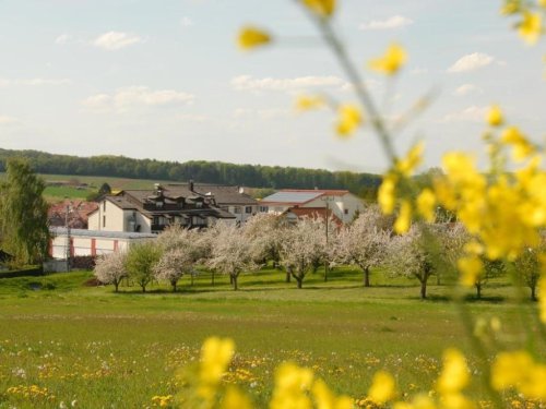 Flair Hotel Landgasthof Roger
