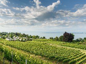 Blauer Montag im Boutique-Hotel ZUM SCHLOSS