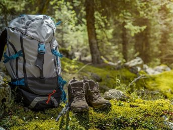 Von Wandern bis Radfahren: Erholende Tage im Waldviertel inkl. Frühstück | 7 Nächte