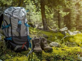 Von Wandern bis Radfahren: Erholende Tage im Waldviertel inkl. Frühstück | 7 Nächte