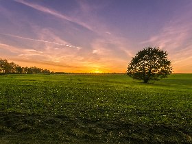 3 Tage Kurzurlaub im Alten Land bei Hamburg - Nordeuropas größtes Obstanbaugebiet