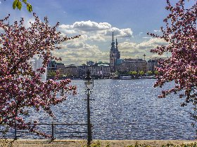 3 Tage Kurzurlaub im Alten Land bei Hamburg - Nordeuropas größtes Obstanbaugebiet