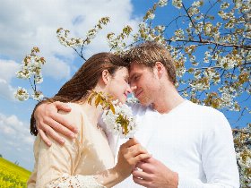 3 Tage Kurzurlaub im Alten Land bei Hamburg - Nordeuropas größtes Obstanbaugebiet