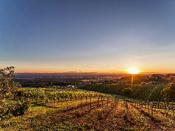 Erholung & Romantik im steirischen Weinberg-Chalet | 2 Nächte