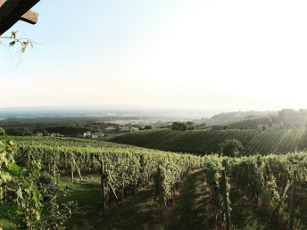 Erholung & Romantik im steirischen Weinberg-Chalet | 2 Nächte