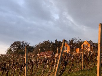 Erholung & Romantik im steirischen Weinberg-Chalet | 2 Nächte