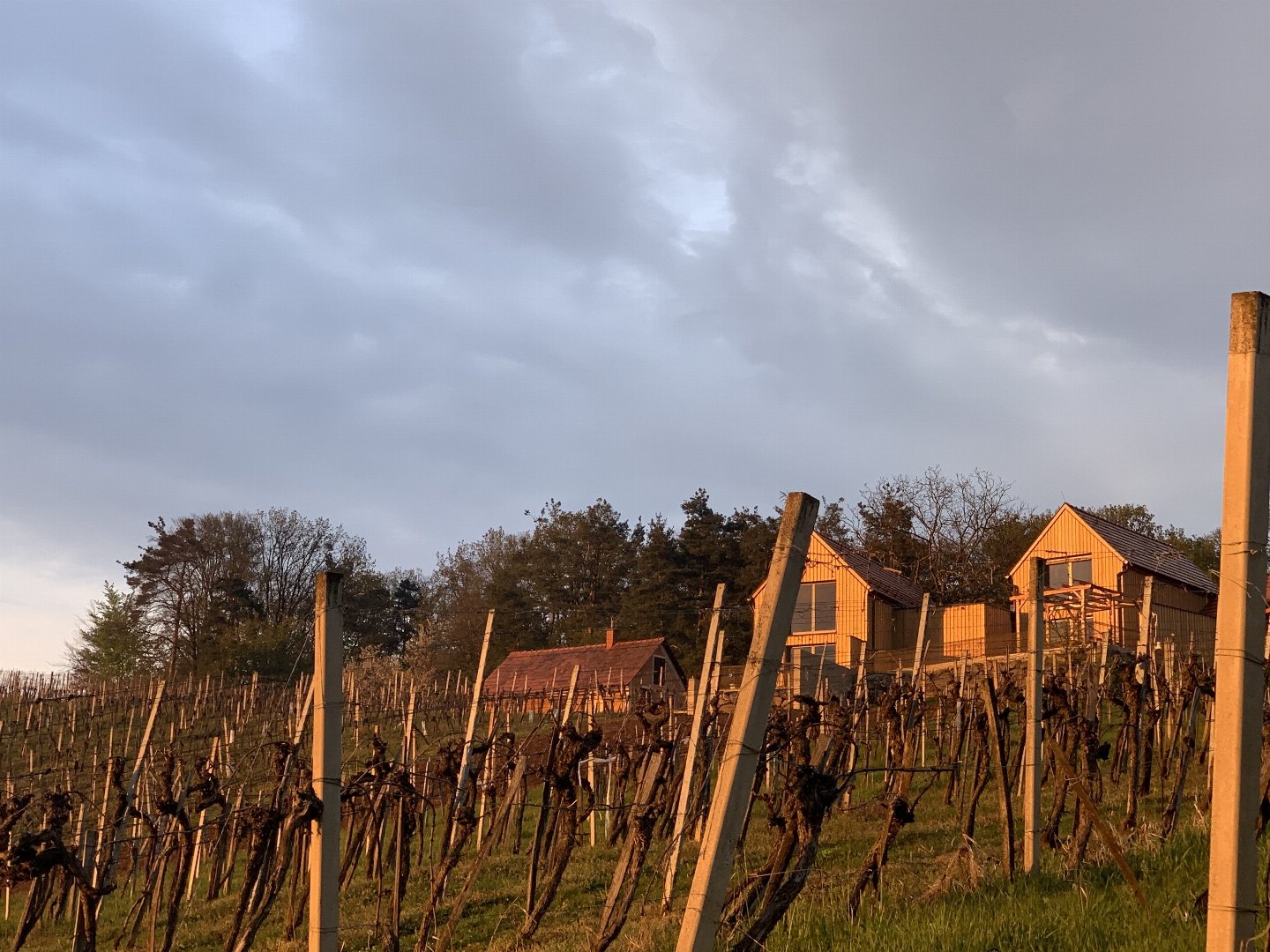 Erholung & Romantik im steirischen Weinberg-Chalet | 2 Nächte