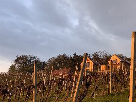 2 Nächte im Weinberg-Chalet und 1 Tag Therme Bad Radkersburg