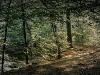Ihre Luxus-Auszeit in der Diepeschrather Mühle – 2 Tage pure Entspannung und Genuss (1 Nacht)