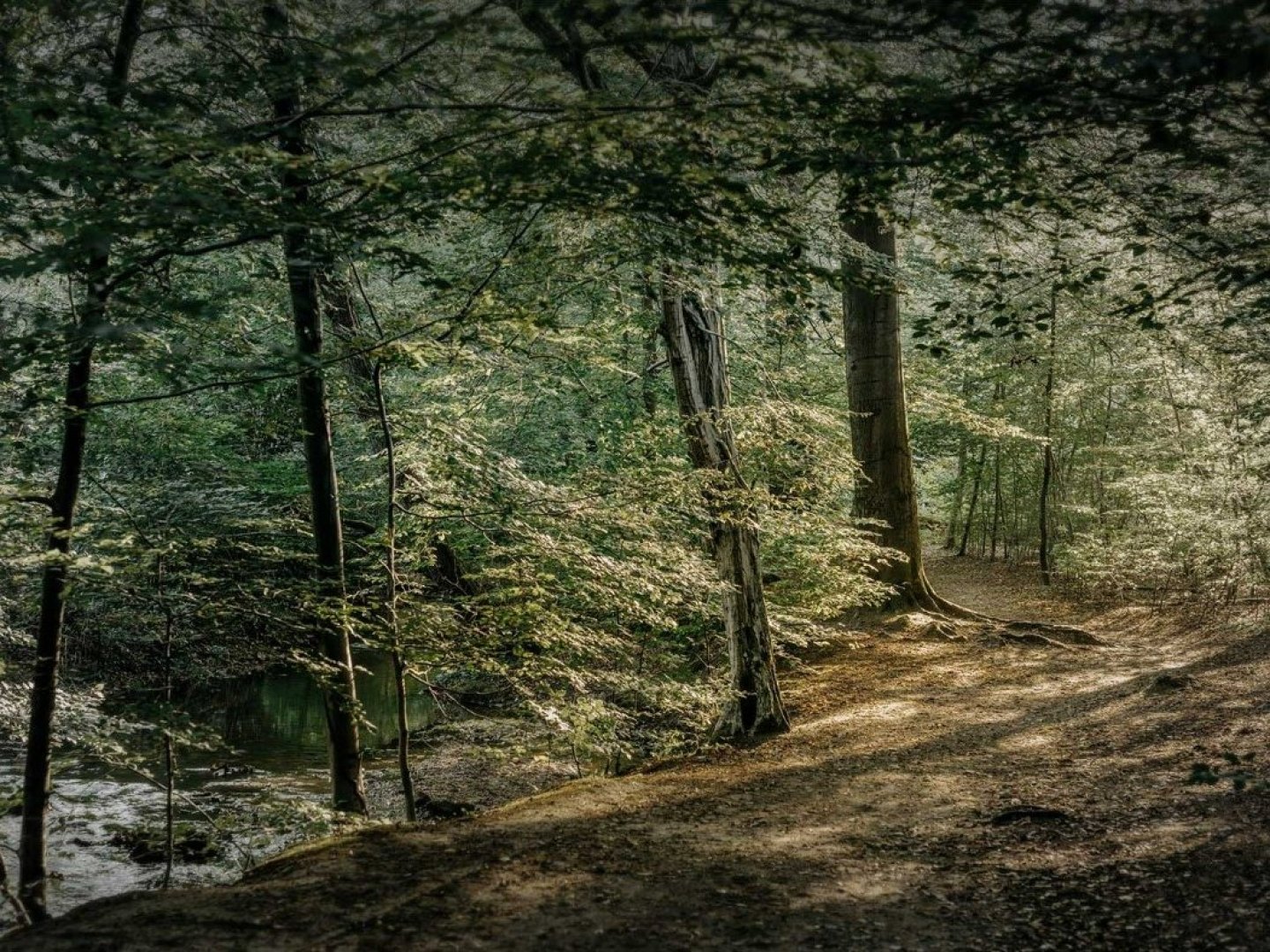 Ihre Luxus-Auszeit in der Diepeschrather Mühle – 2 Tage pure Entspannung und Genuss (1 Nacht)