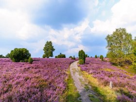 Kurzurlaub in der Lüneburger Heide inkl. Massage 