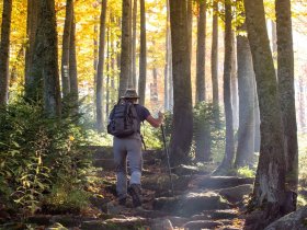 5 Wellness-Wandertage im Bayerischer Wald: Deine Auszeit