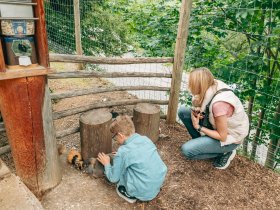 Romantik-Urlaub in den Dolomiten | 2 Nächte