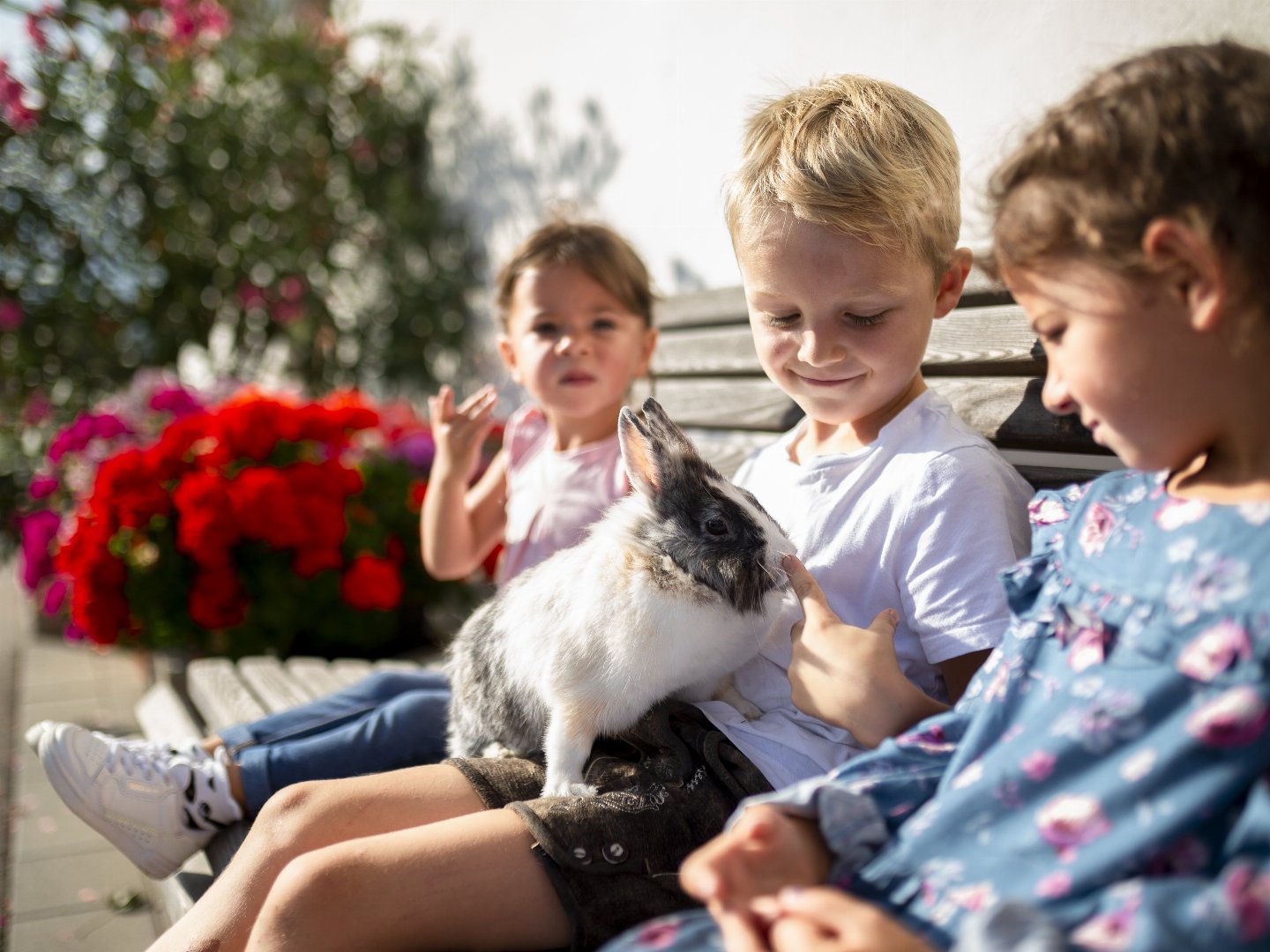 Familienurlaub in den Dolomiten | 7 Nächte