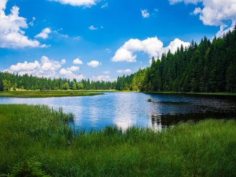 Bayerischer Wald für Entdecker inkl. HP | 5 Tage   
