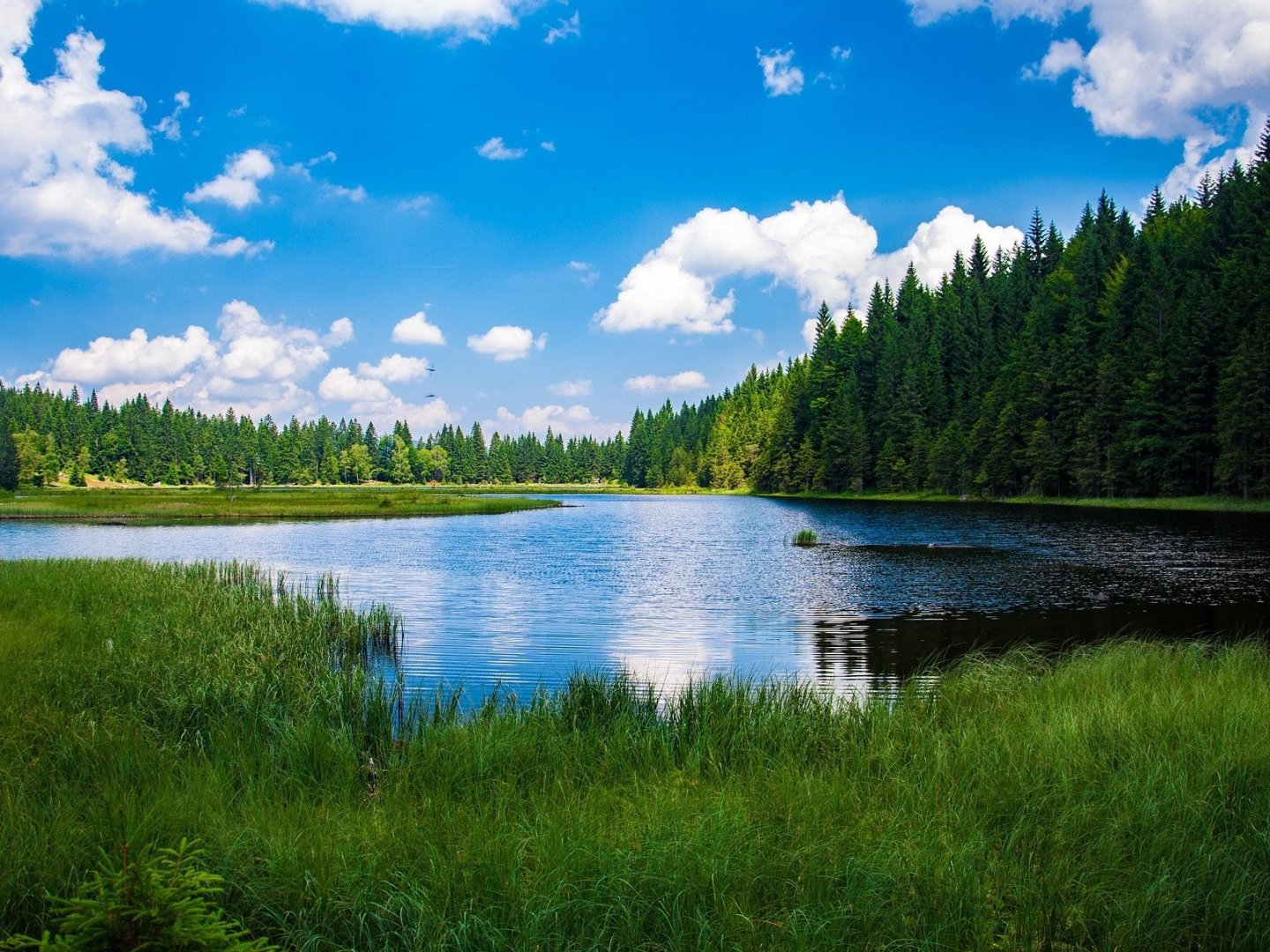 Bayerischer Wald für Entdecker inkl. HP | 5 Tage   