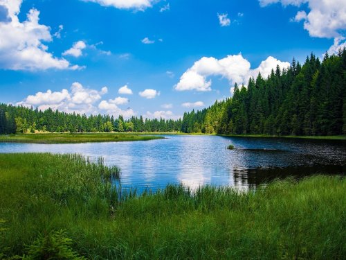**AKTION Preiskracher** Bayerischer Wald für Entdecker inklusive 1 x Halbpension | 3 Tage 