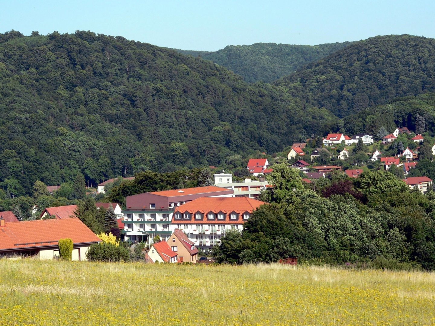 Auszeit im Harz inkl. Abendessen I 3 Tage Kurz - Mal - Natur