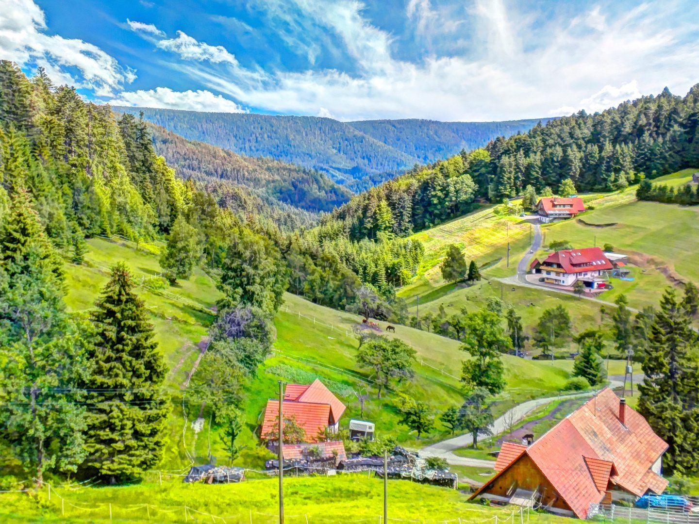 3 Tage Fahrradurlaub im Schwarzwald