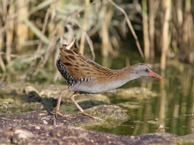 Auszeit vom Alltag - 3 Tage Kultur im Havelland