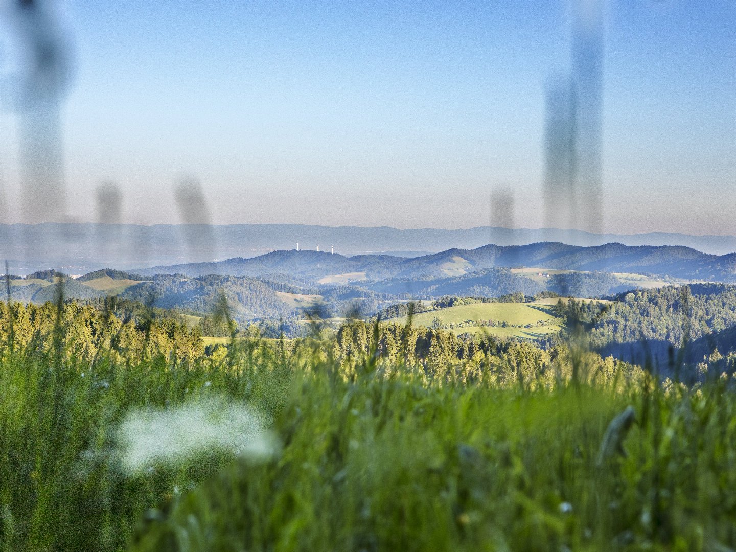 3 Tage Auszeit im malerischen Hochschwarzwald inkl. Abendmenü
