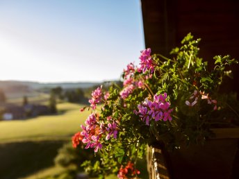 3 Tage Auszeit im malerischen Hochschwarzwald inkl. Abendmenü