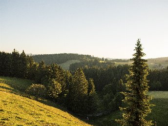 3 Tage Auszeit im malerischen Hochschwarzwald inkl. Abendmenü