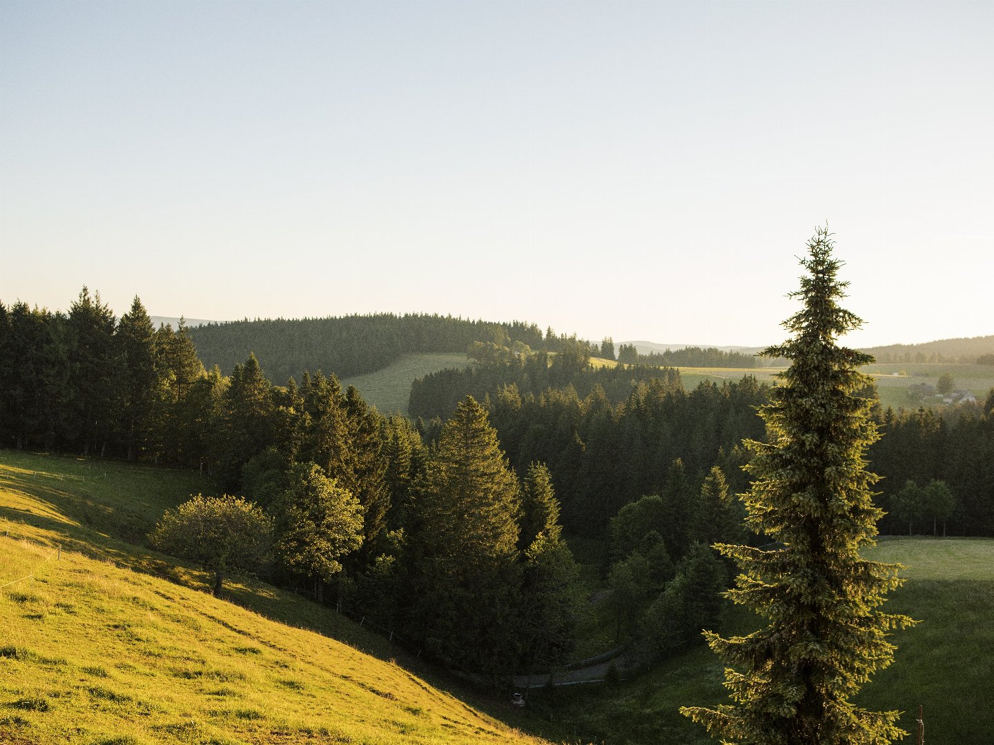 3 Tage Auszeit im malerischen Hochschwarzwald inkl. Abendmenü