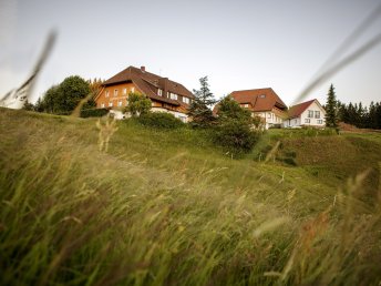 3 Tage Auszeit im malerischen Hochschwarzwald inkl. Abendmenü