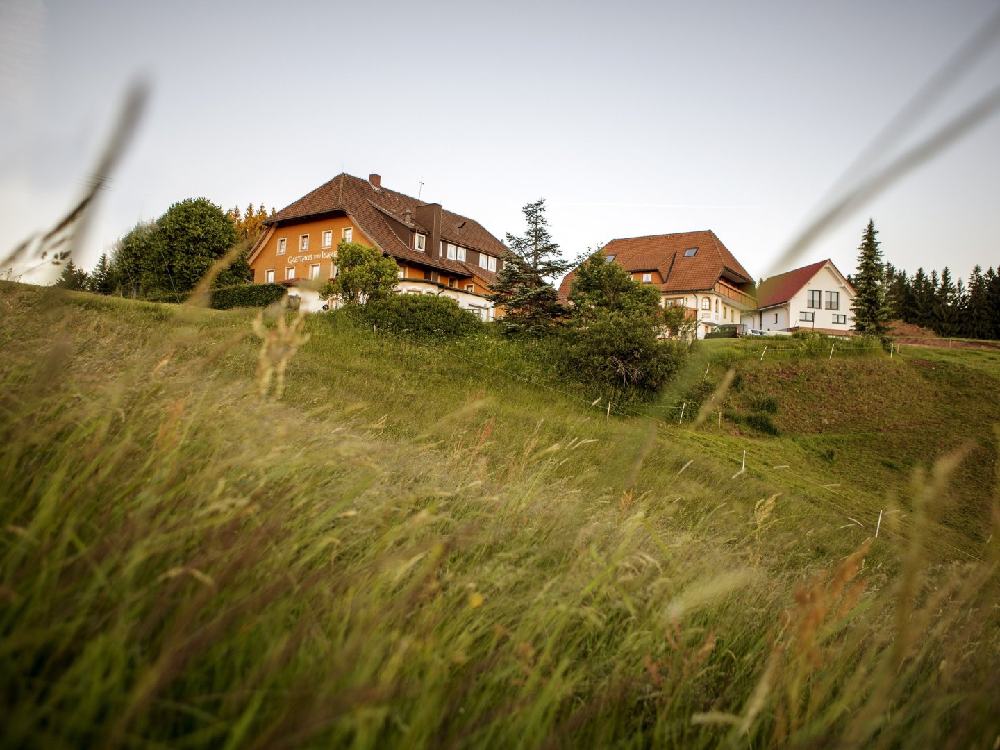 3 Tage Auszeit im malerischen Hochschwarzwald inkl. Abendmenü