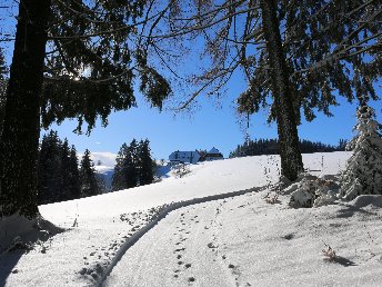3 Tage Auszeit im malerischen Hochschwarzwald inkl. Abendmenü
