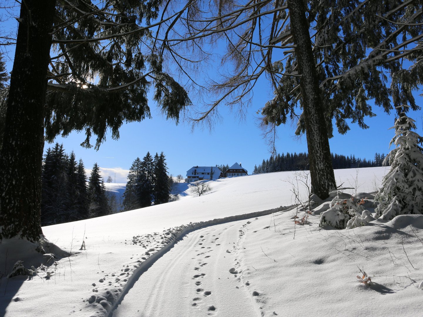 3 Tage Auszeit im malerischen Hochschwarzwald inkl. Abendmenü