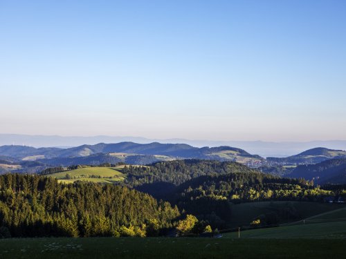 Natur erleben, Zeit genießen: 6 Tage Genuss-Auszeit mit täglichem Abendmenü