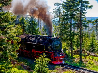 Harzzeit & Bahnerlebnis - 5 Tage in Wernigerode