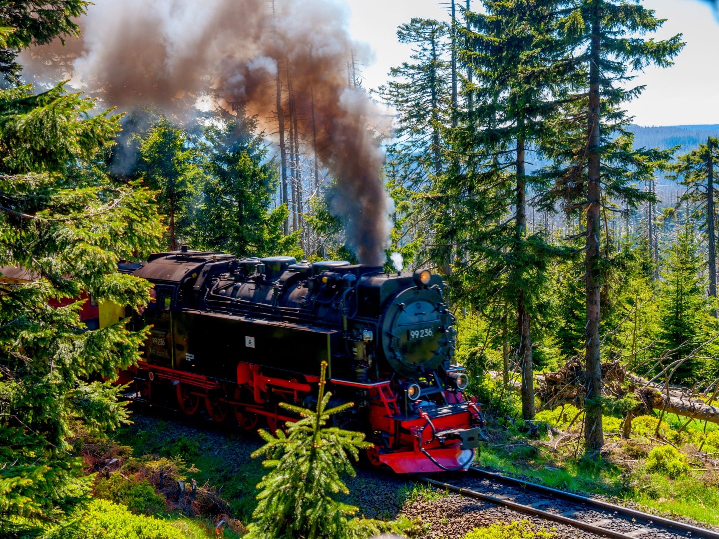 Harzzeit & Bahnerlebnis - 5 Tage in Wernigerode