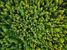 Goldener Fachwerkzauber in Wernigerode - 3 Tage im Harz