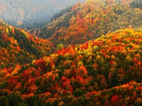 Goldener Fachwerkzauber in Wernigerode - 3 Tage im Harz