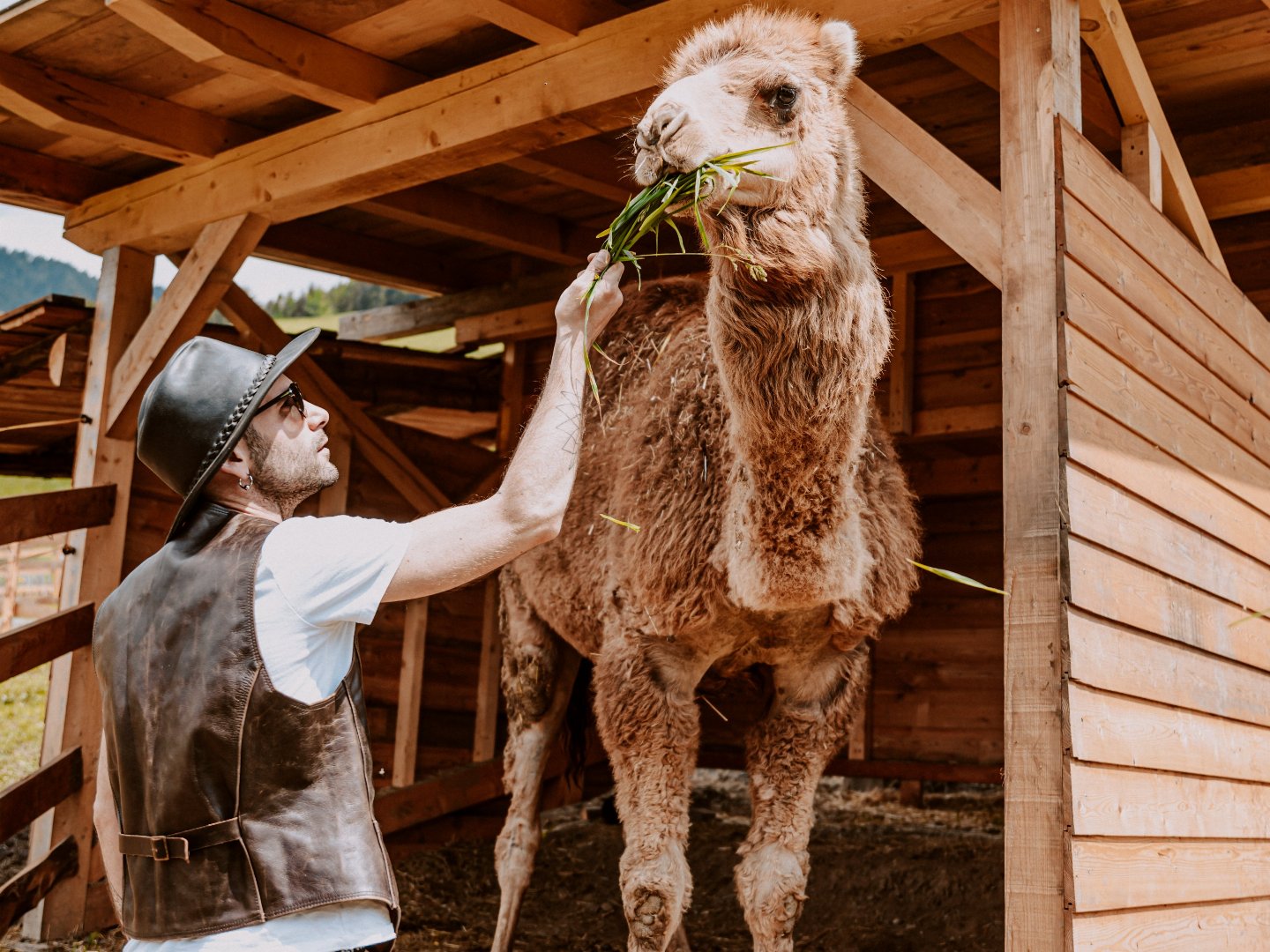 Familienzeit deluxe in den Südtiroler Dolomiten inkl. Halbpension  | 2 Nächte